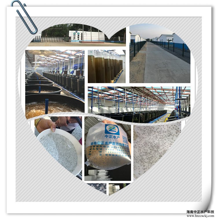 f: C:\Users\dell\Desktop\764359668_1_.jpg